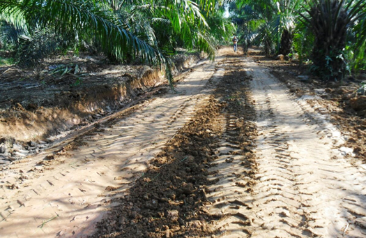Administración de plantaciones